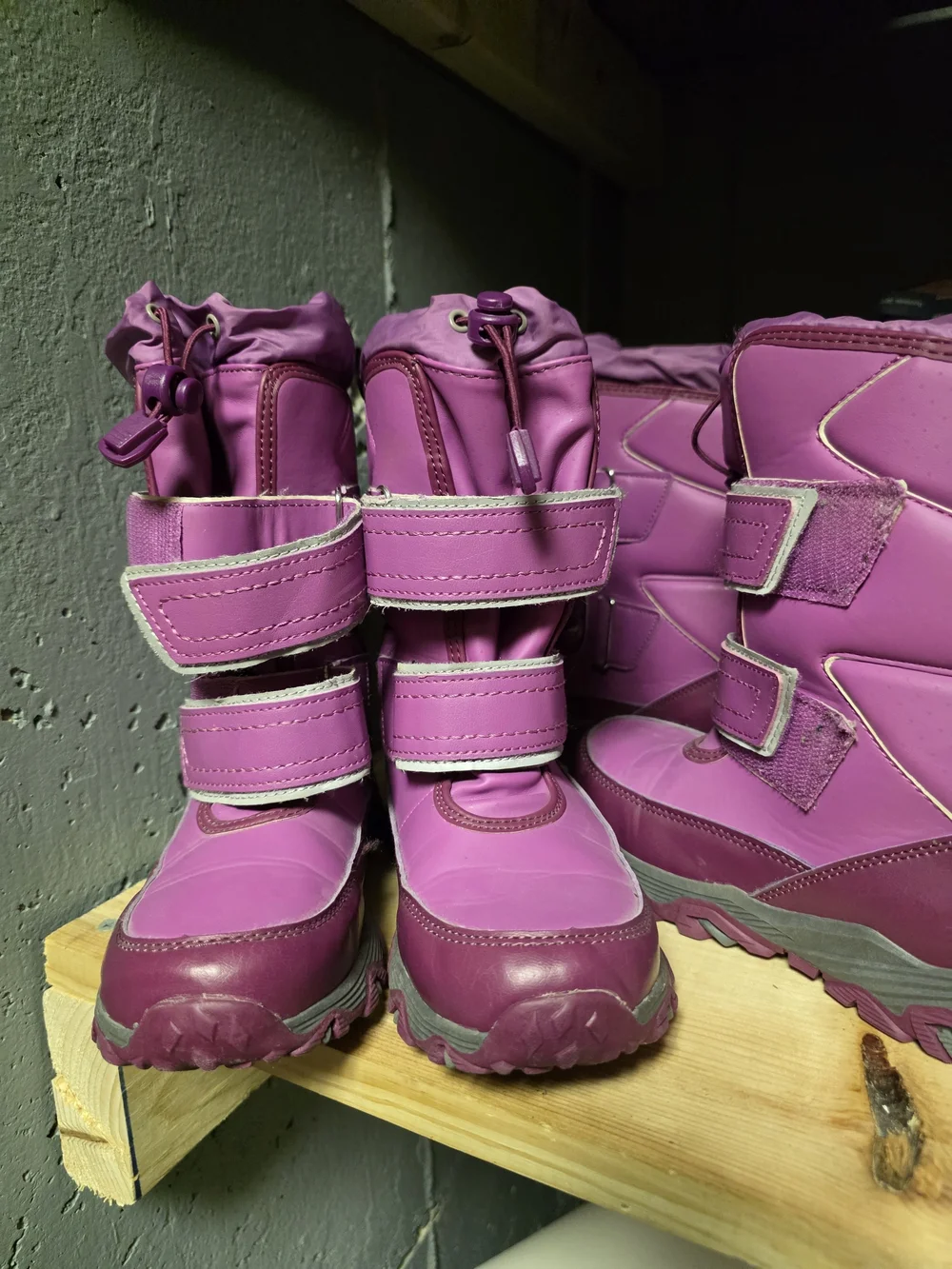 Lands End bright purple