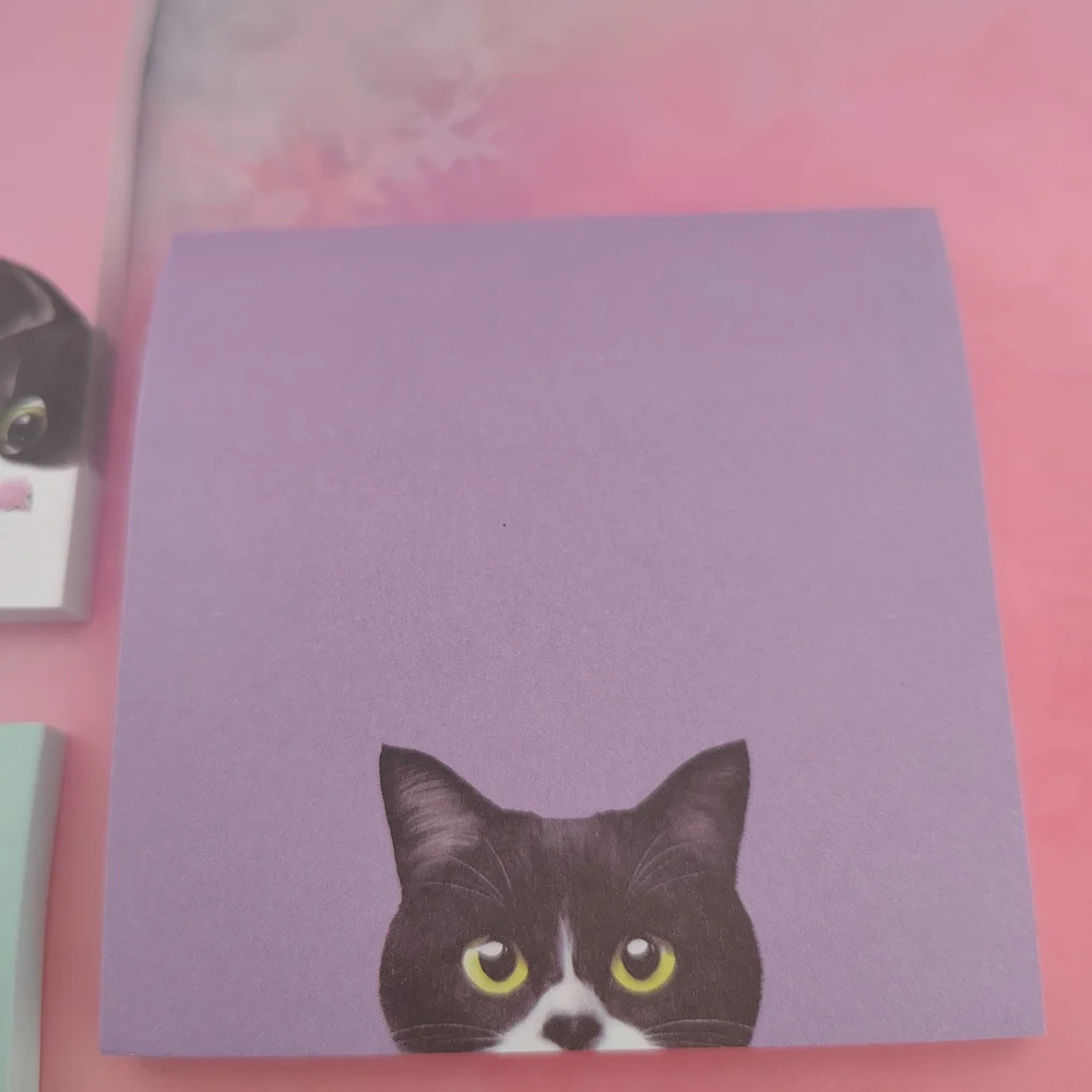 N/A black cat