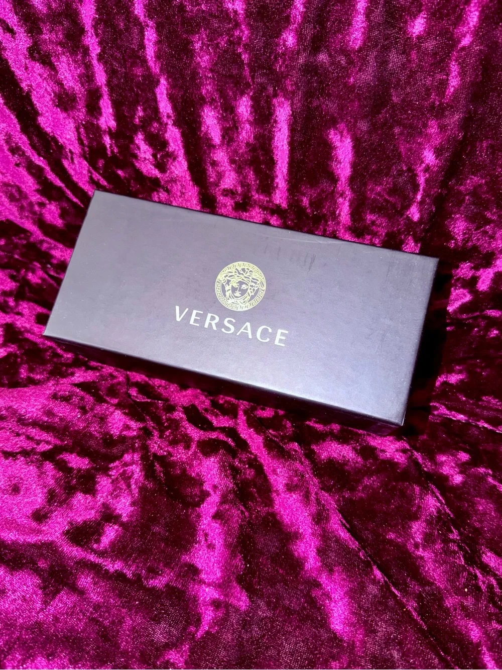 Versace elegant cat