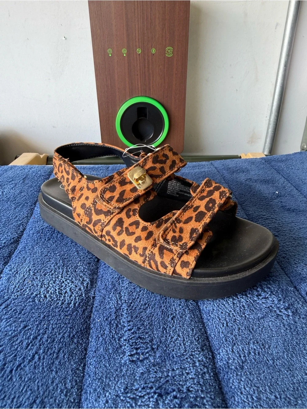 art class leopard print