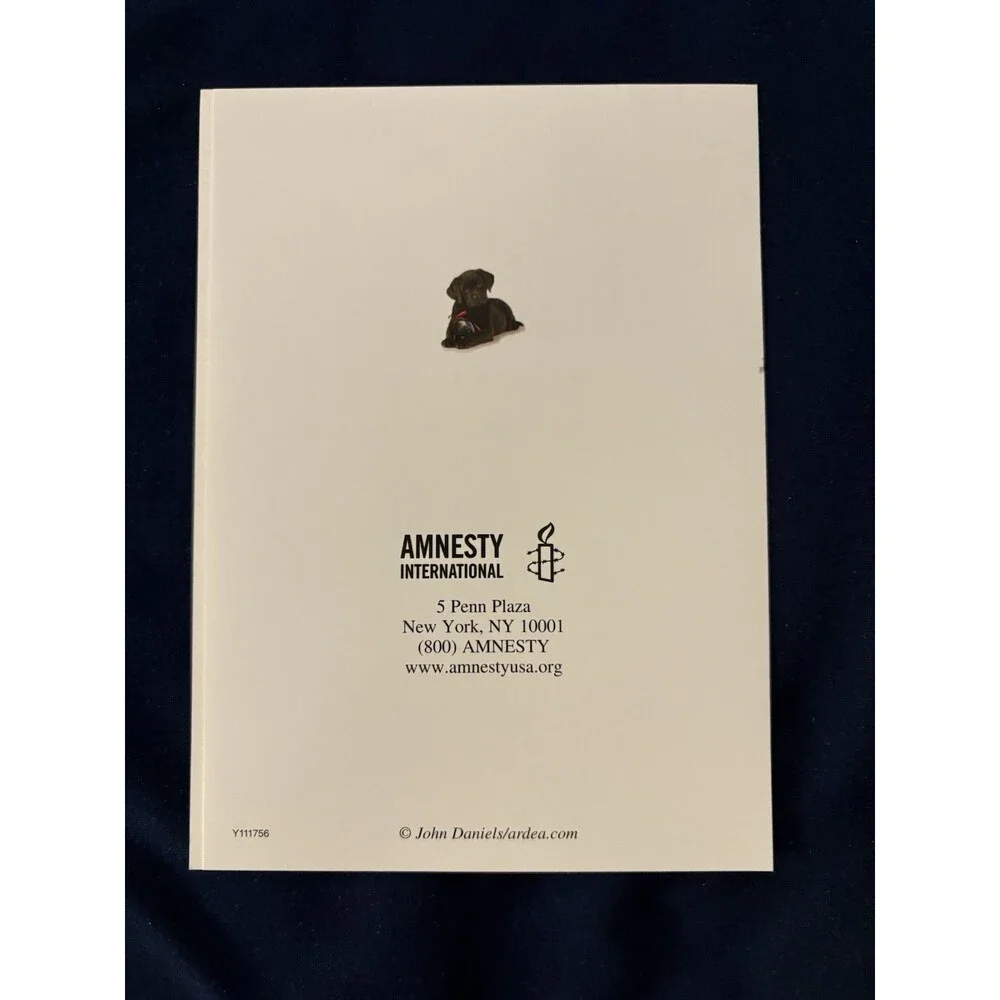Seasons Greetings Card with White Envelope | Dog design | By Amnesty Intl
