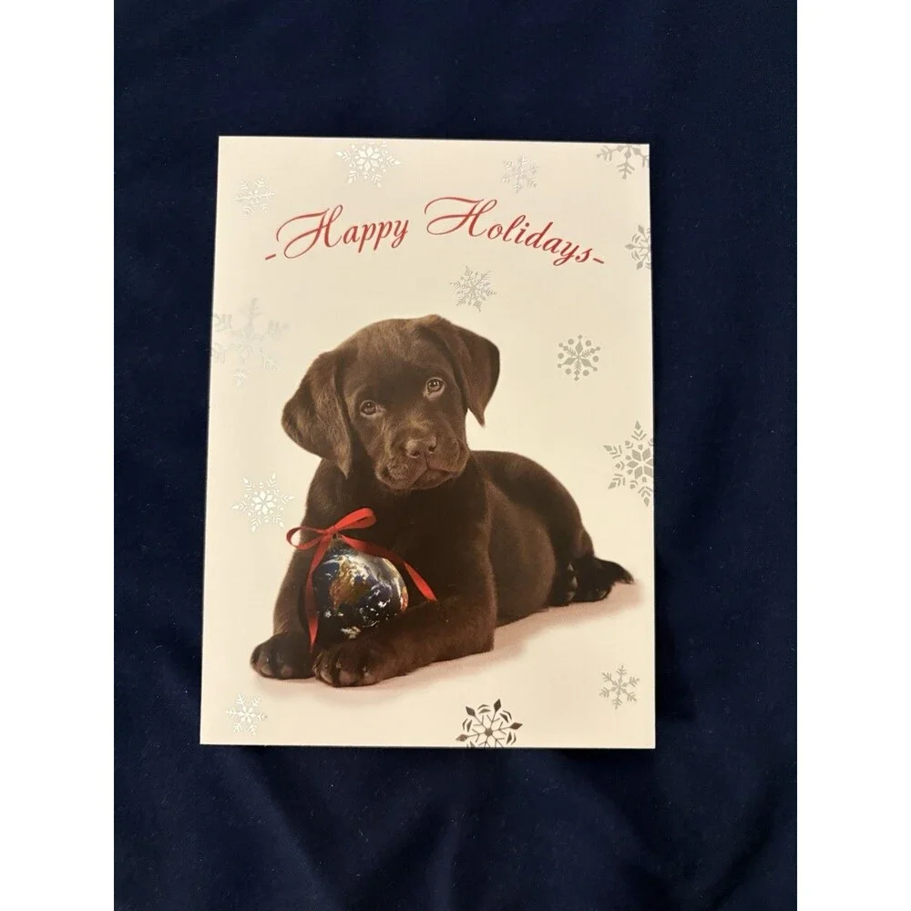Seasons Greetings Card with White Envelope | Dog design | By Amnesty Intl