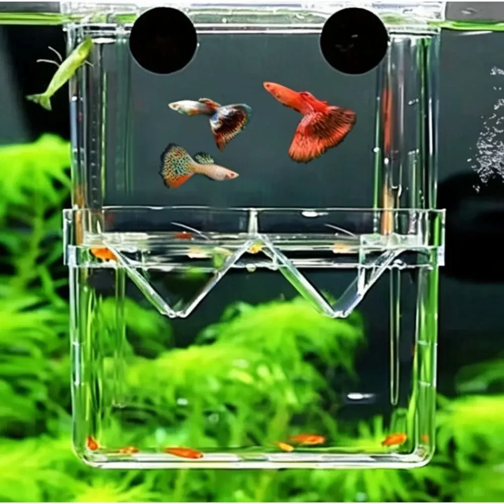 Double‑Layer Floating Aquarium Fish Breeding Isolation Box