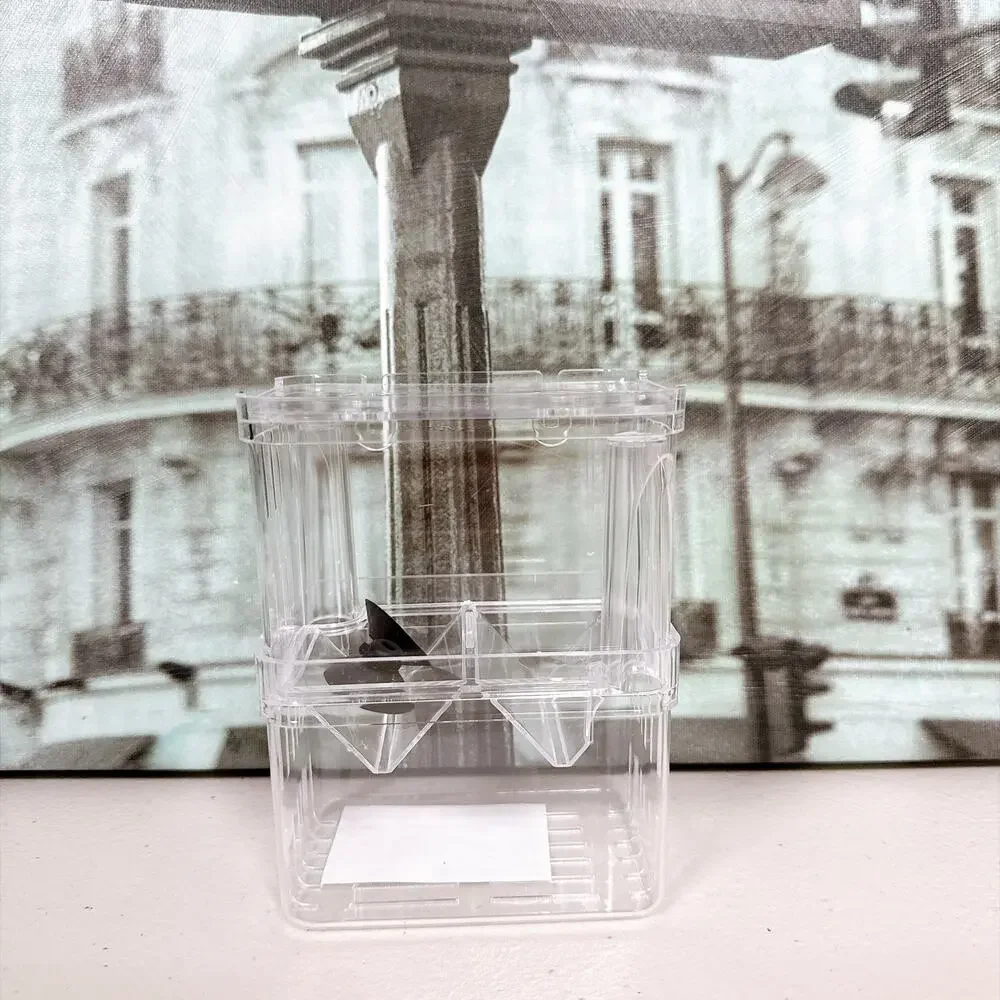Double‑Layer Floating Aquarium Fish Breeding Isolation Box
