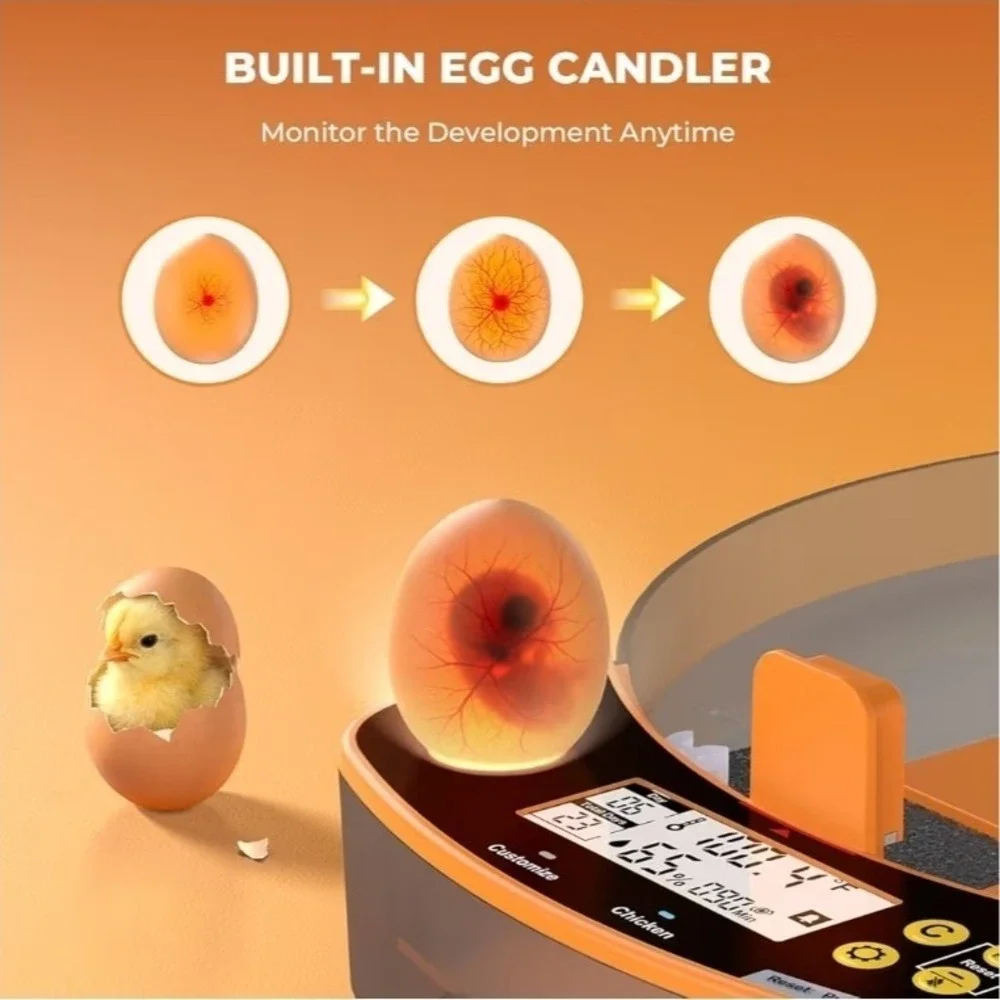 24 Egg Smart Incubator Auto‎ Turner Temp & Humidity Control Candler Turner Alarm