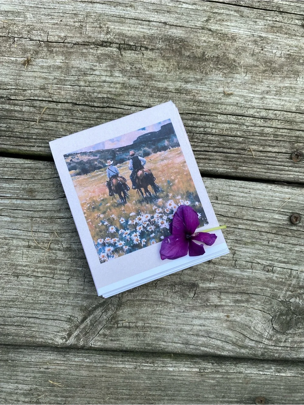 Daisy Meadow Cowboy Cards and Envelopes