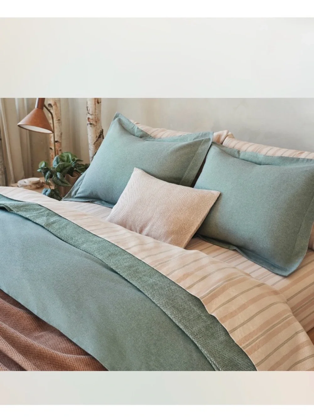 Coyuchi Cloud Brushed™ Organic Flannel Sheet Set in Cypress New Queen $308 new