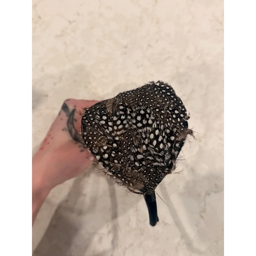 Black White Spotted Guinea Fowl‎ Feather Headband Fascinator Hair Accessory