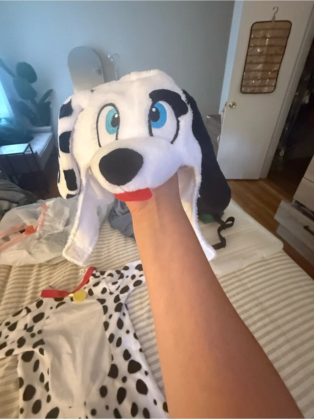 N/A soft dalmatian