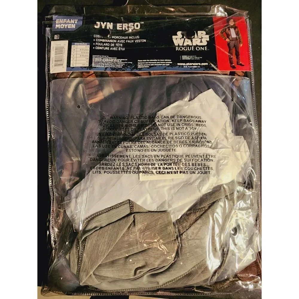 Disney pc costume