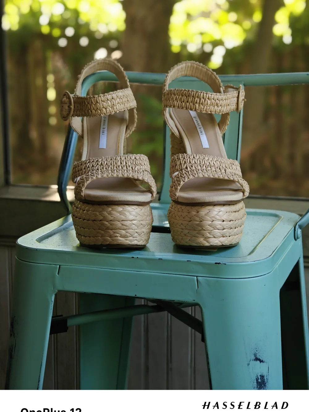Gianni Bini chic woven