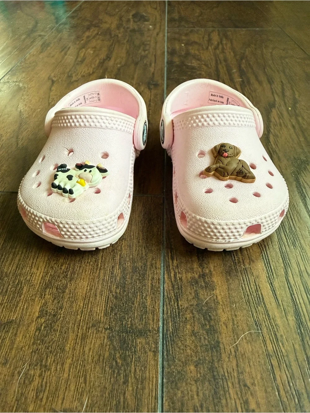 CROCS only wore