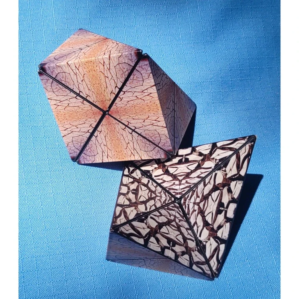 Duomoto Double Magnetic Pizzle Cube