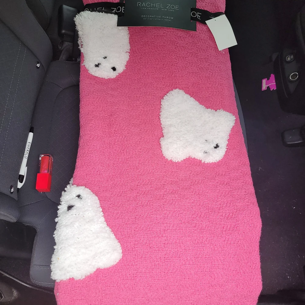 Rachel Zoe Blanket with White Ghost Accents
