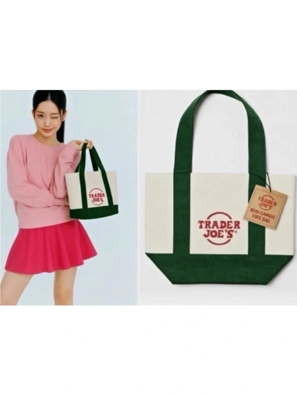 Trader JoeS canvas errands straps
