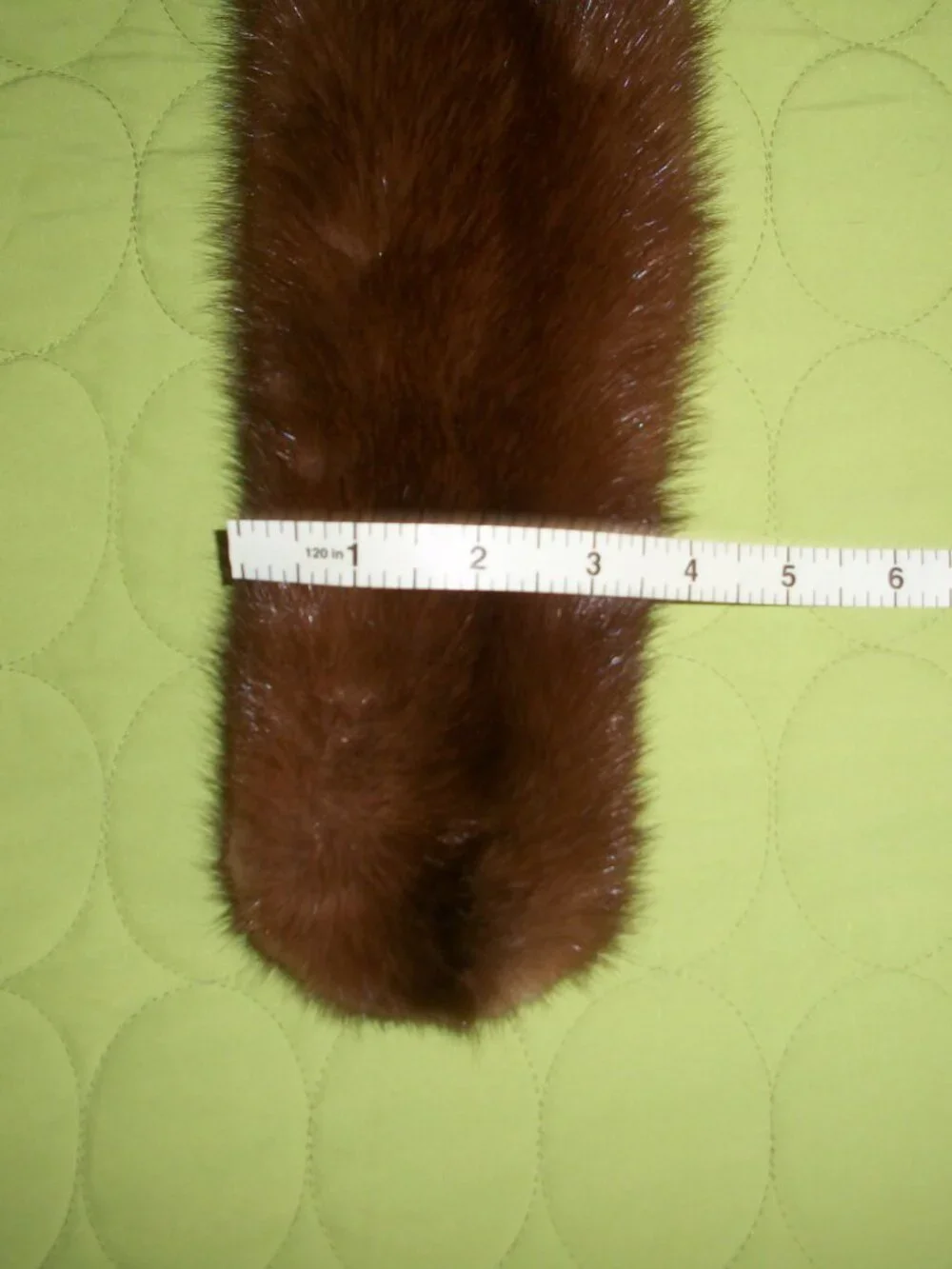 Gruidl furs was