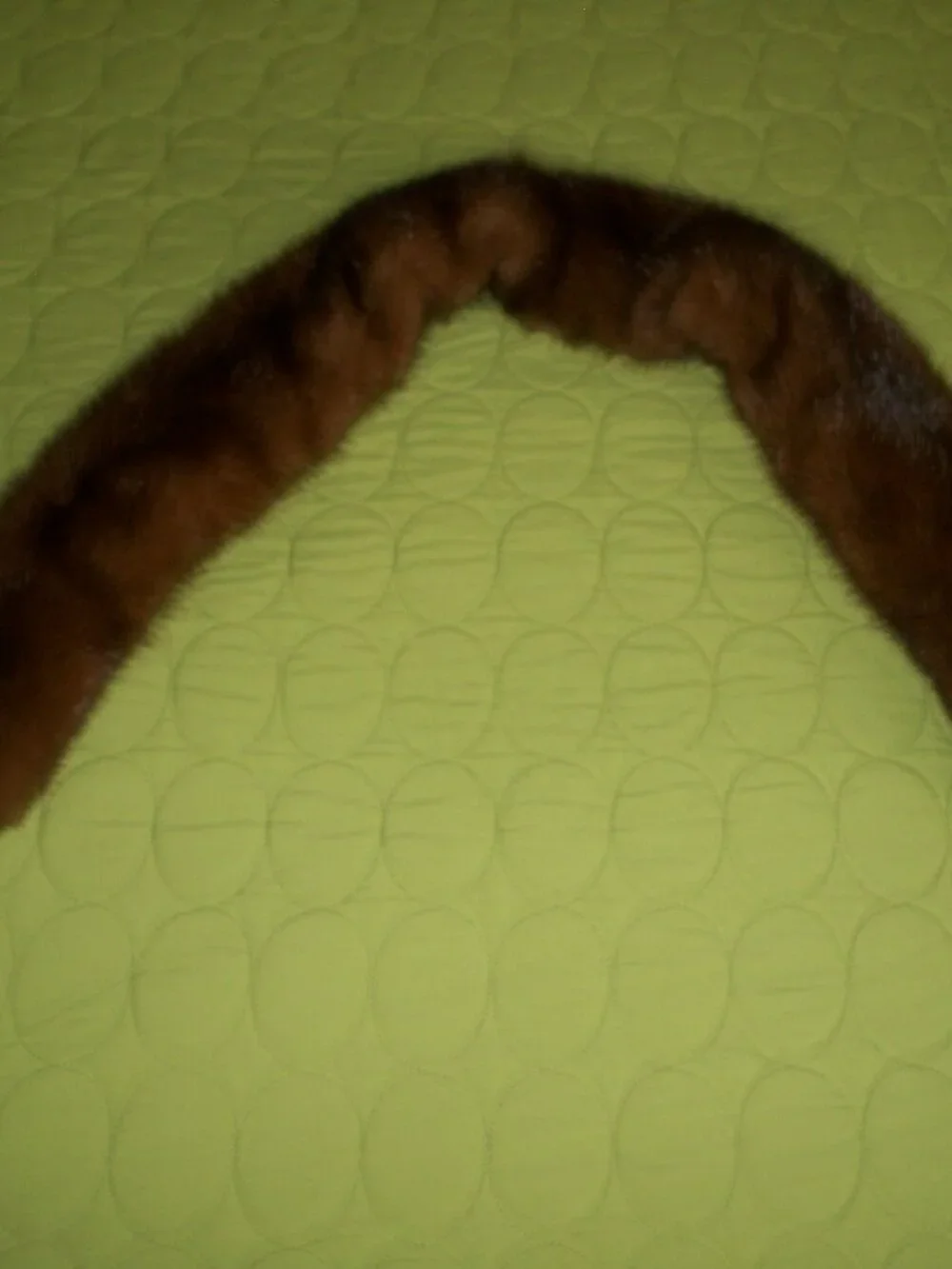 Gruidl furs was