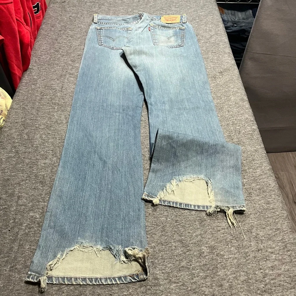 Levis levi 527