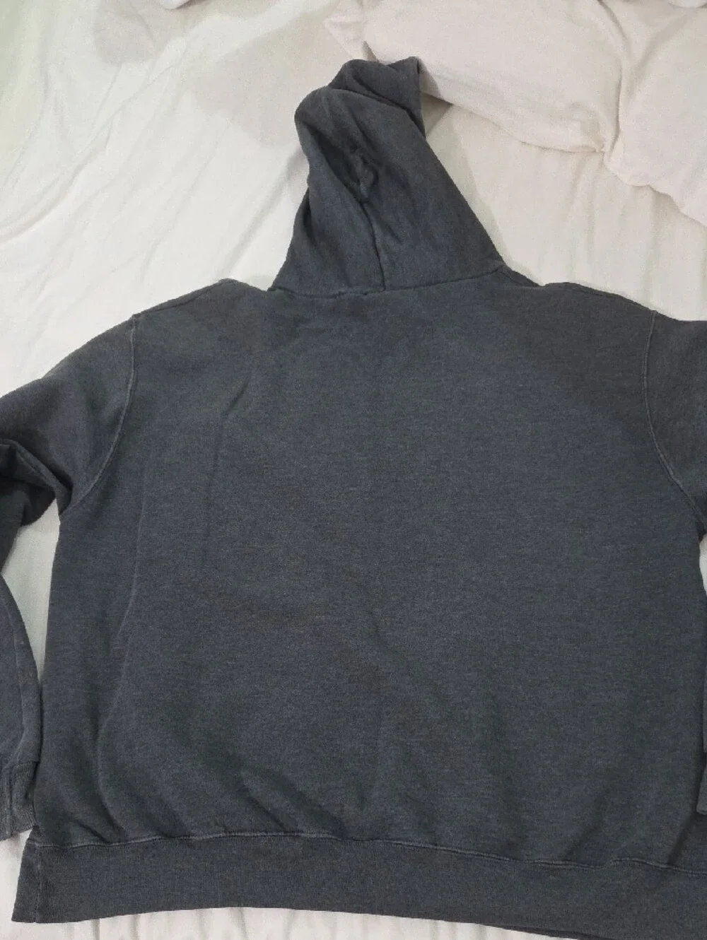Champion pullover hoodie