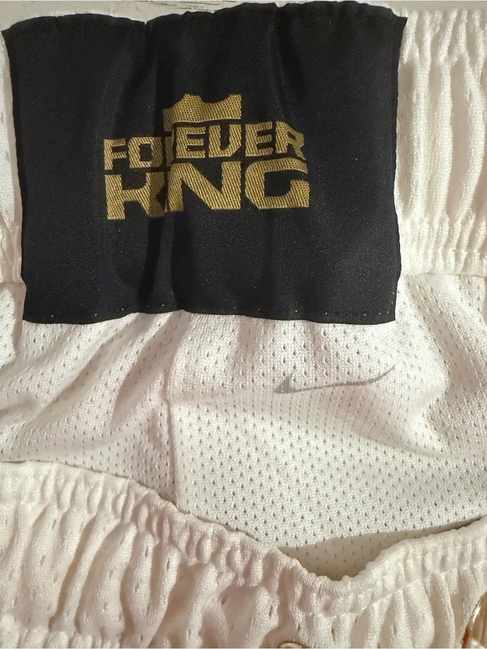 Nike official lebron