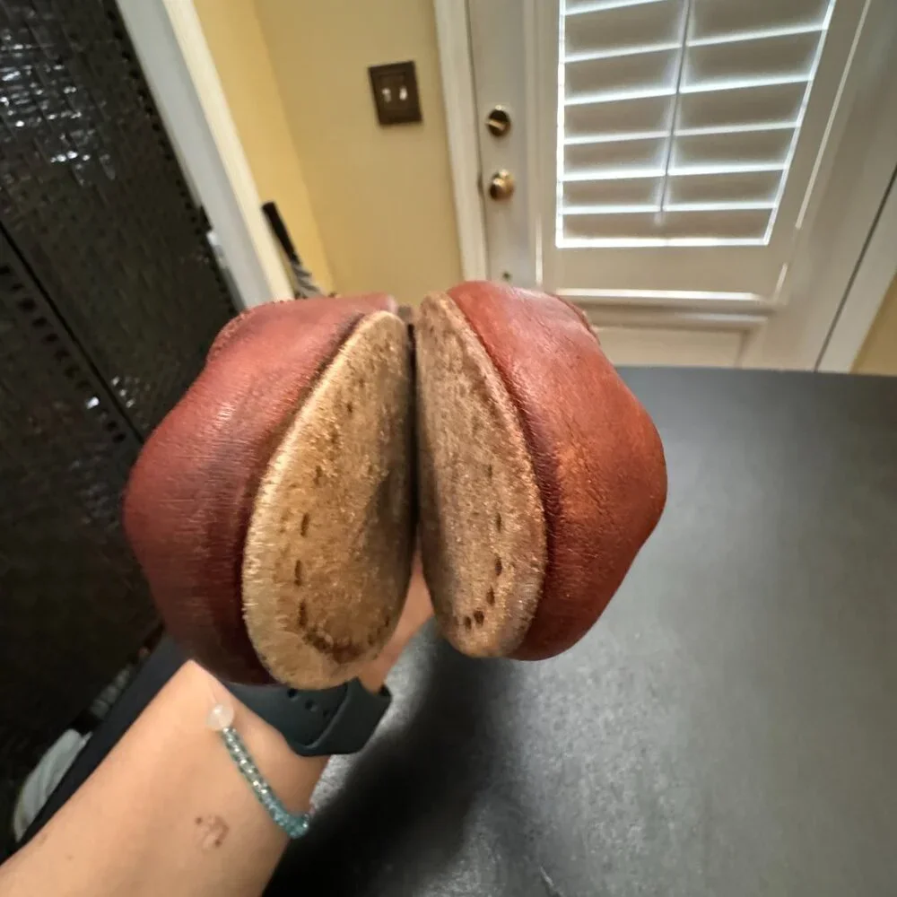 Frye note ballet item