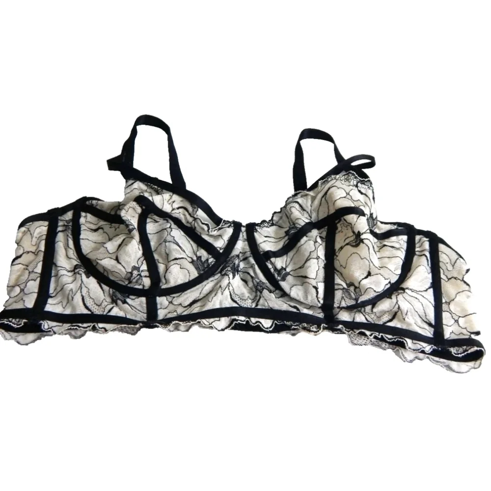 torrid brand curve