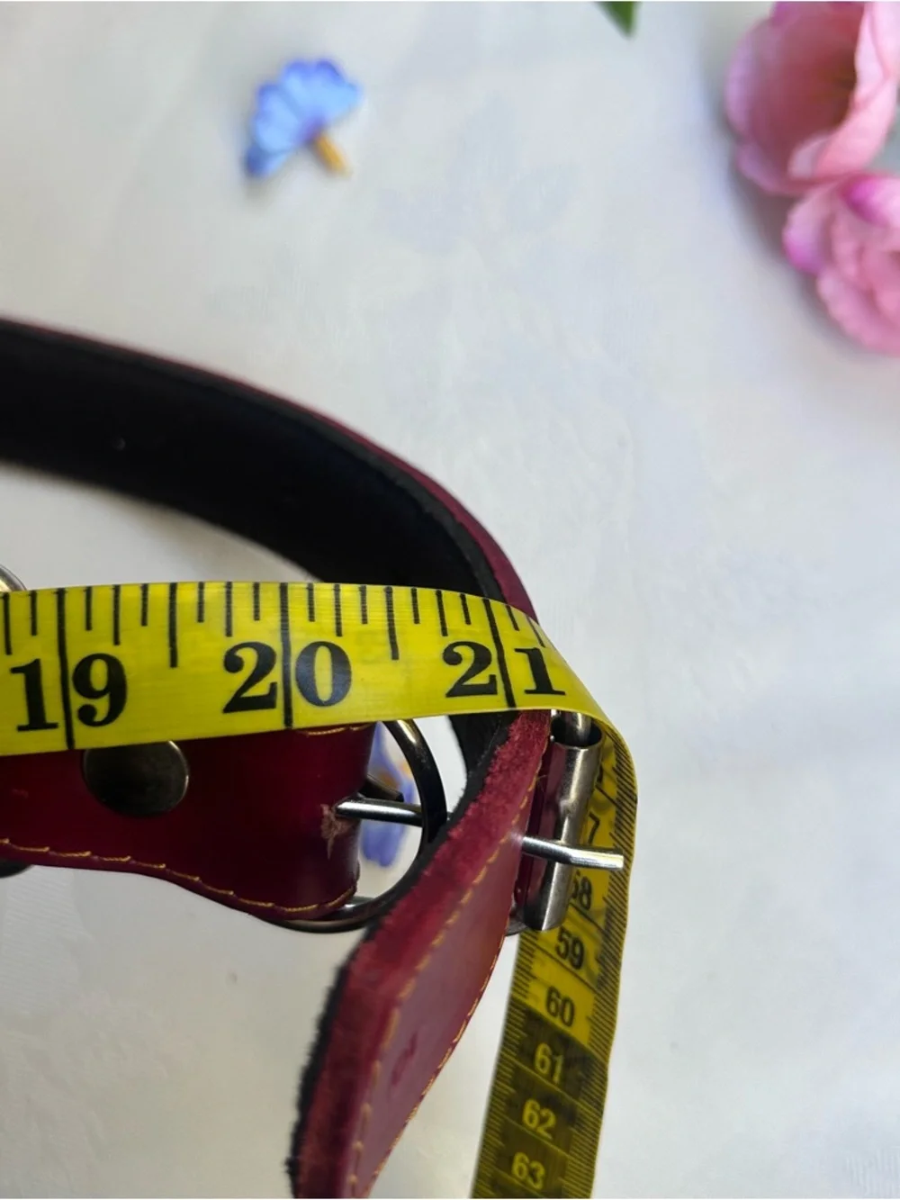 Classic Leather Dog Collar Red Burgundy Adjustable 15-21” handcrafted M/L Dog