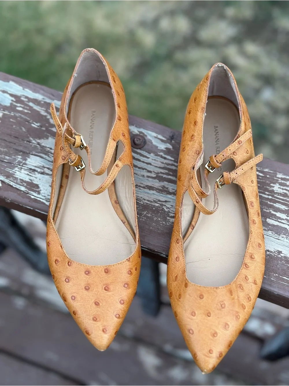 Banana Republic Ostrich-Embossed Pointed Mary Janes in Tan