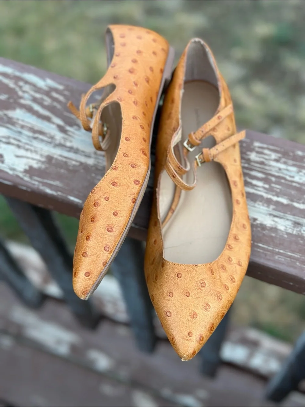 Banana Republic tone few jane