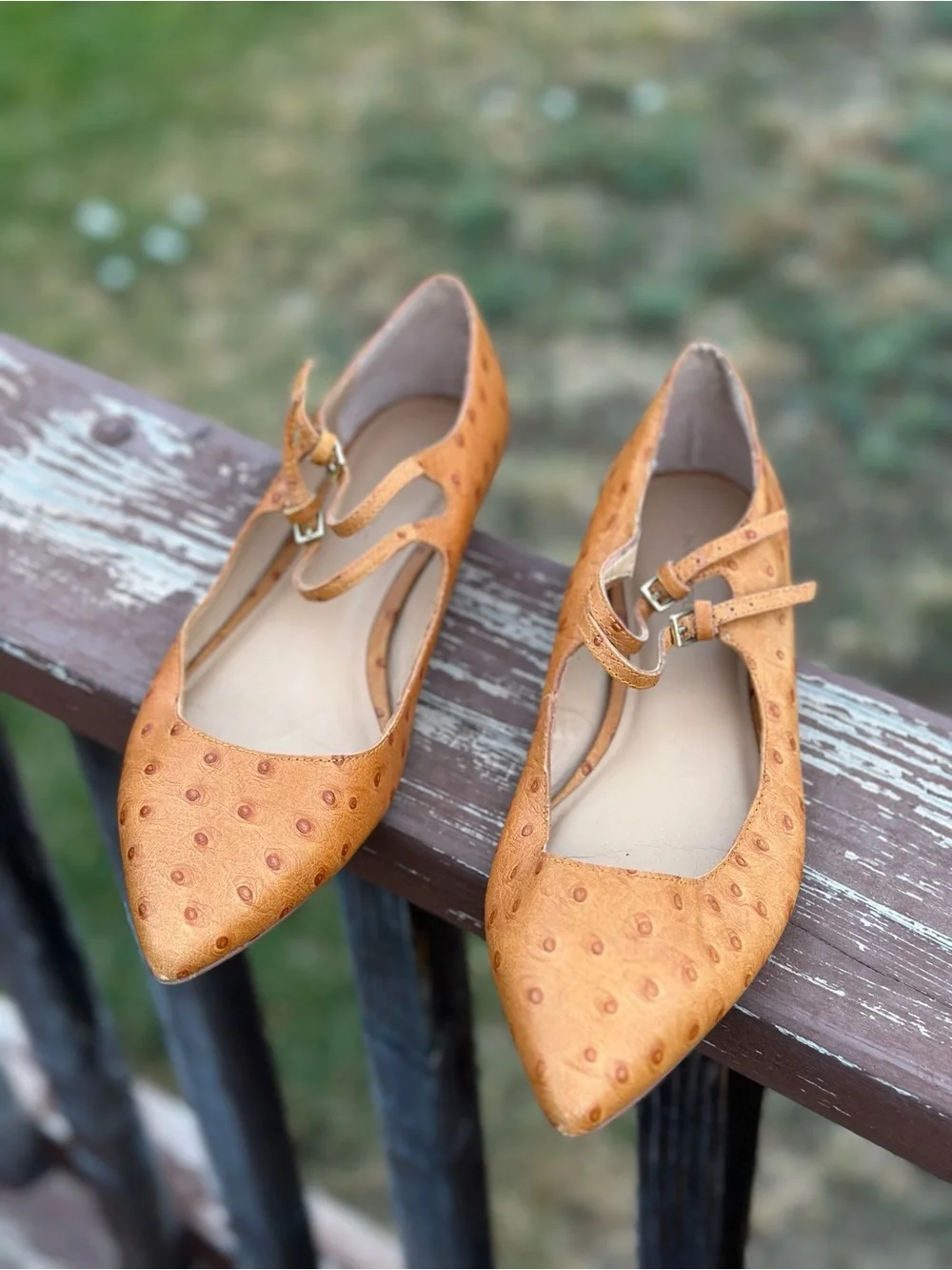 Banana Republic maintained jane