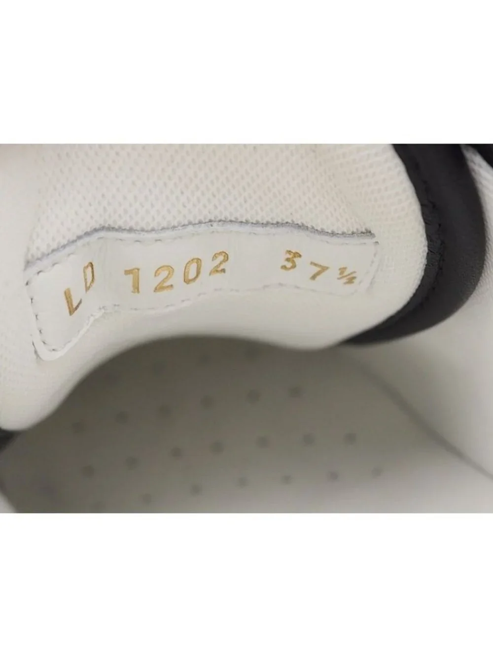 Louis Vuitton brand shoes