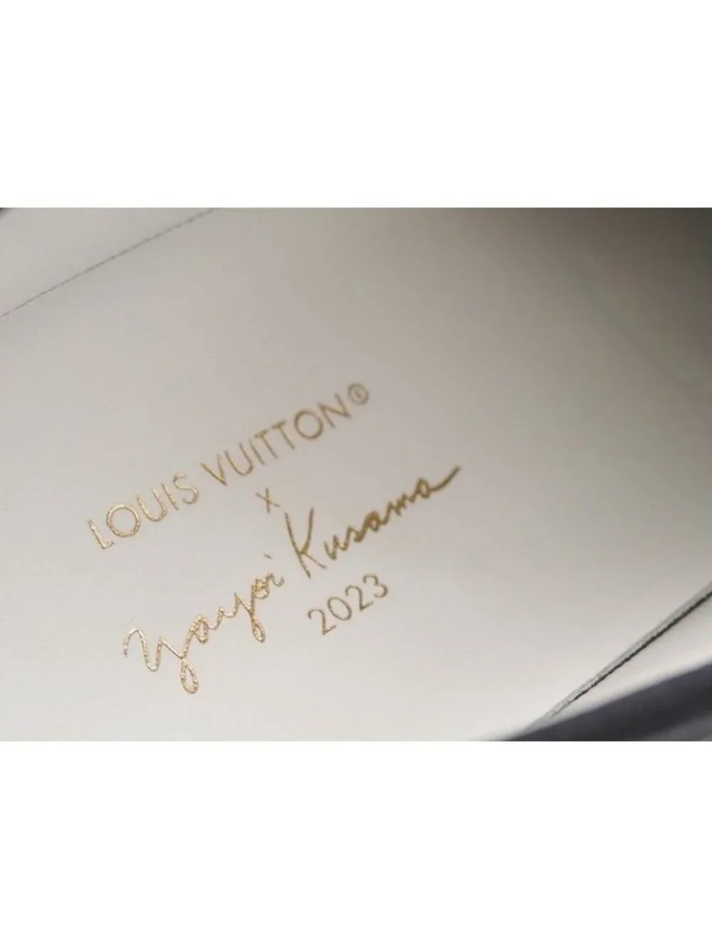 Louis Vuitton brand shoes