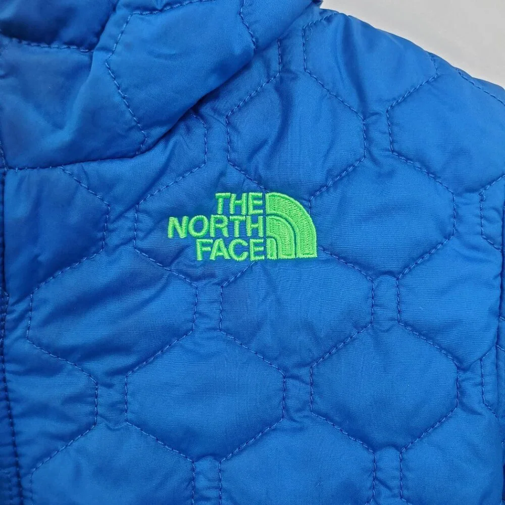 The North Face brand north