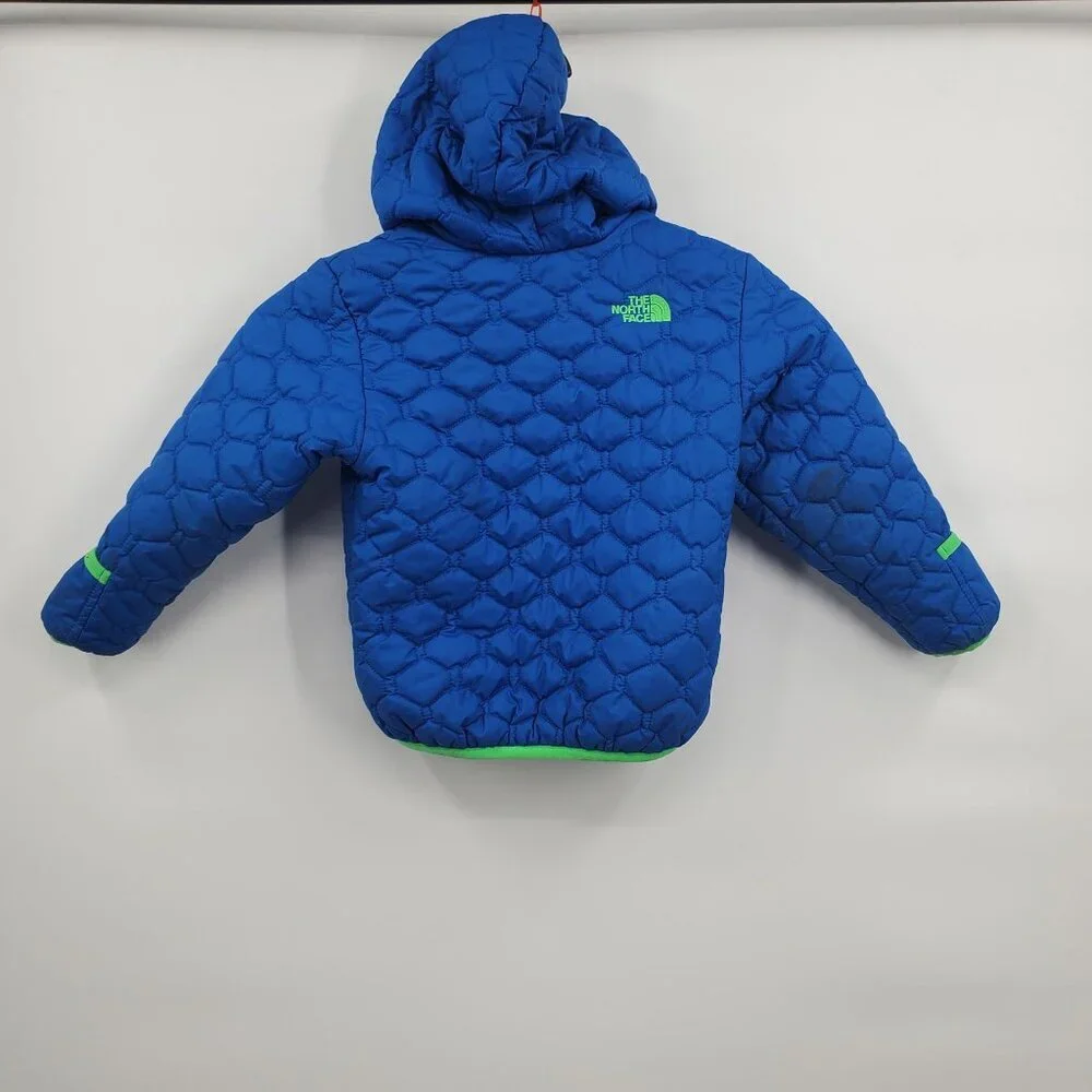 The North Face brand north