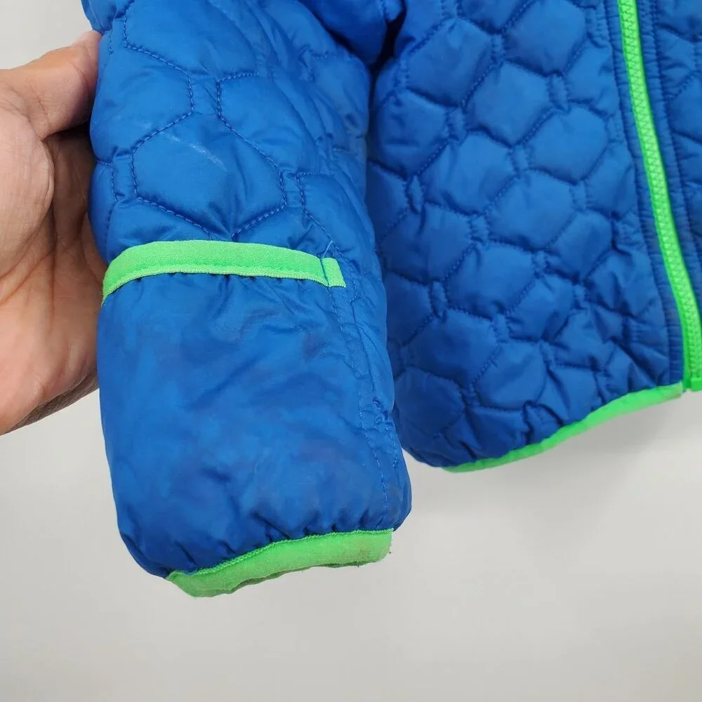 The North Face brand north