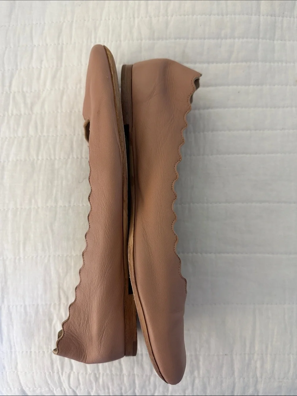 Chloe Lauren Scalloped Ballet Flat