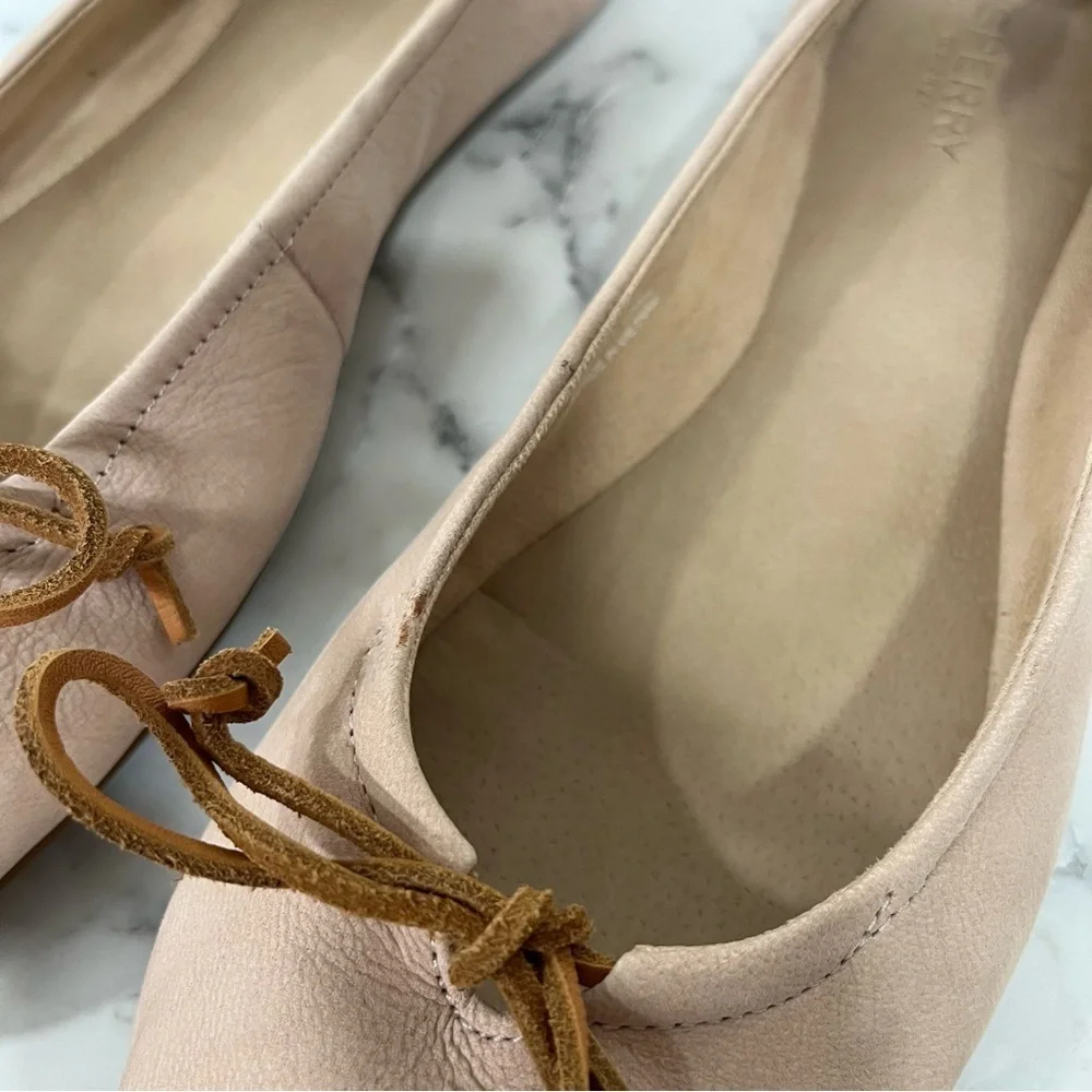 Sperry thalia rose