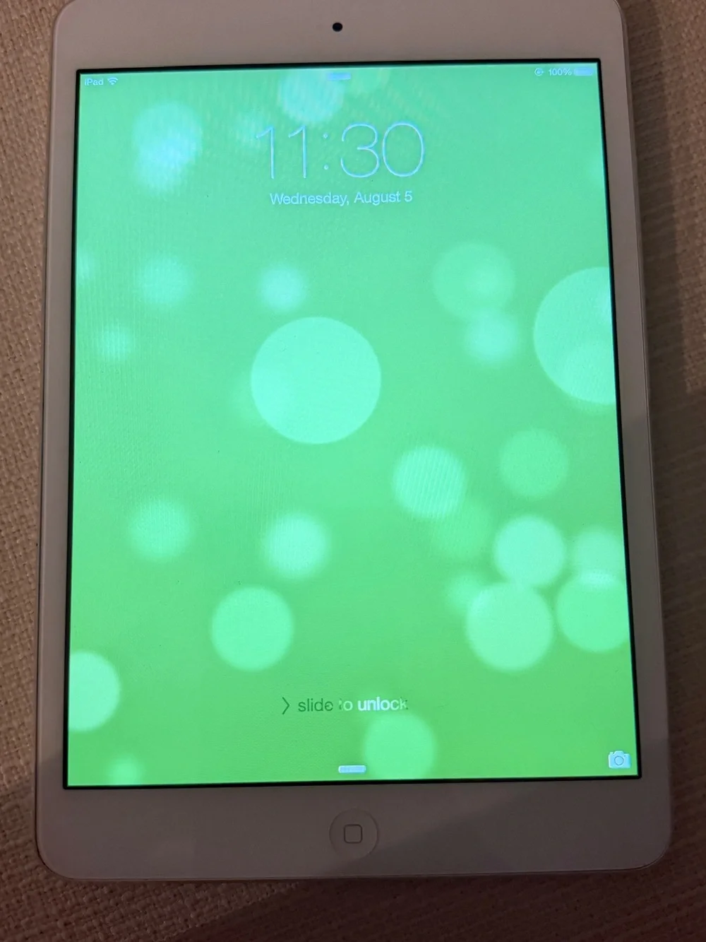 Apple ipad sleek