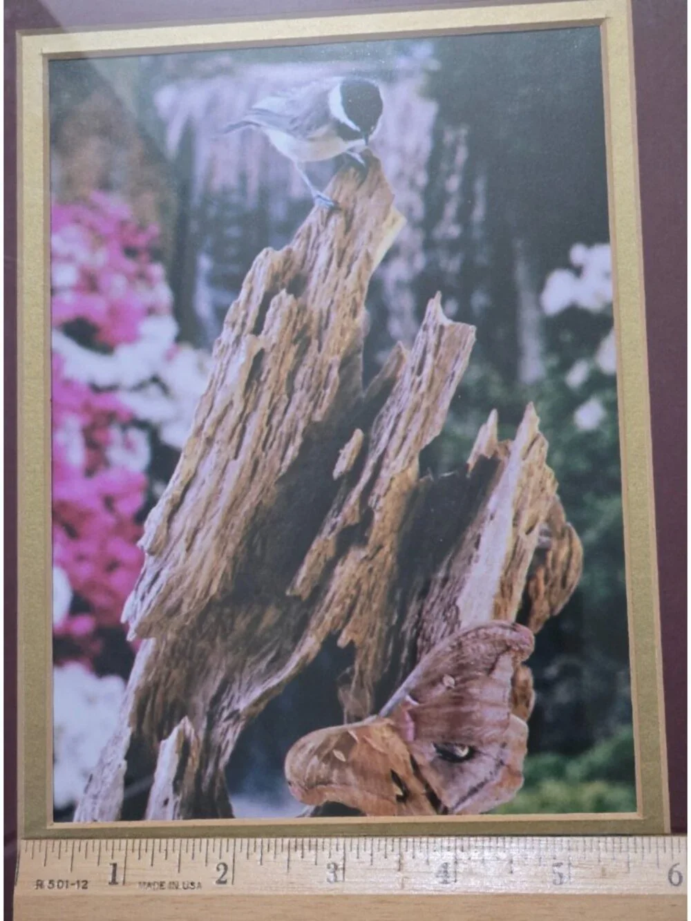 Gold Framed Chickadee Floral Butterfly Photo Print Grandma Country Cottage