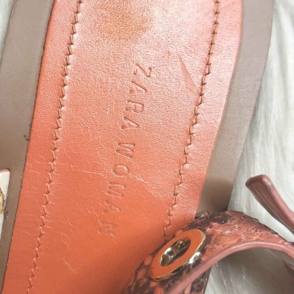 Zara 5584 301
