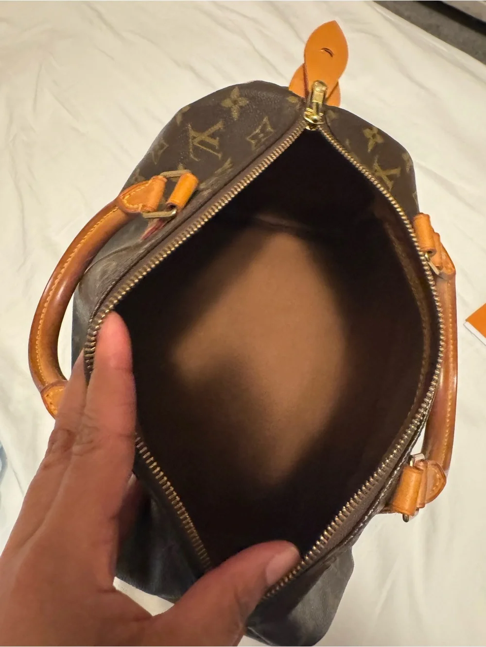 Louis Vuitton iconic lv