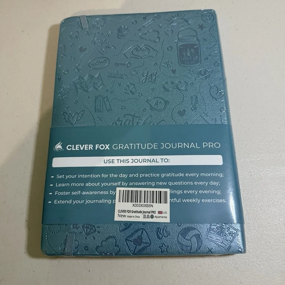 Clever Fox b4 clever