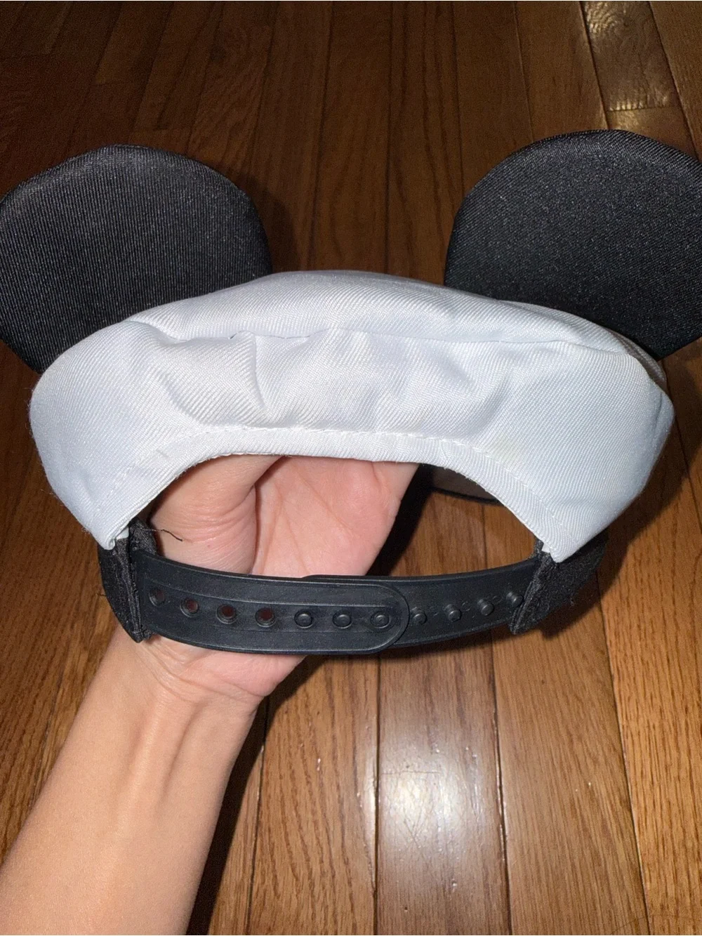 Disney band review which
