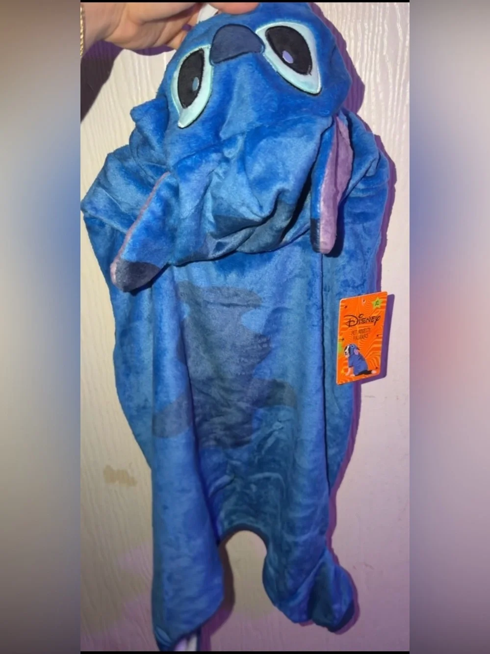 Disney this costume