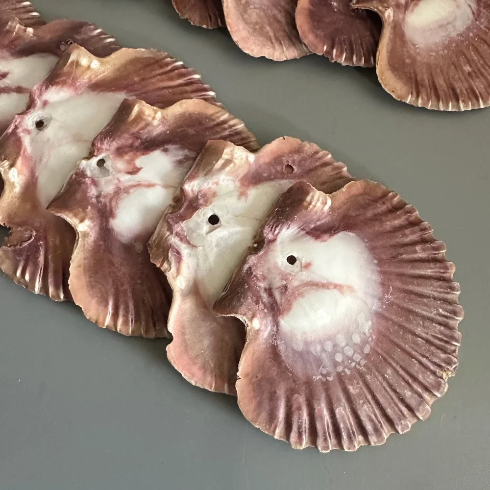 29pc Natural Purple Scallop Shells Pre-Drilled Hole Bulk Sea Shells for Crafts