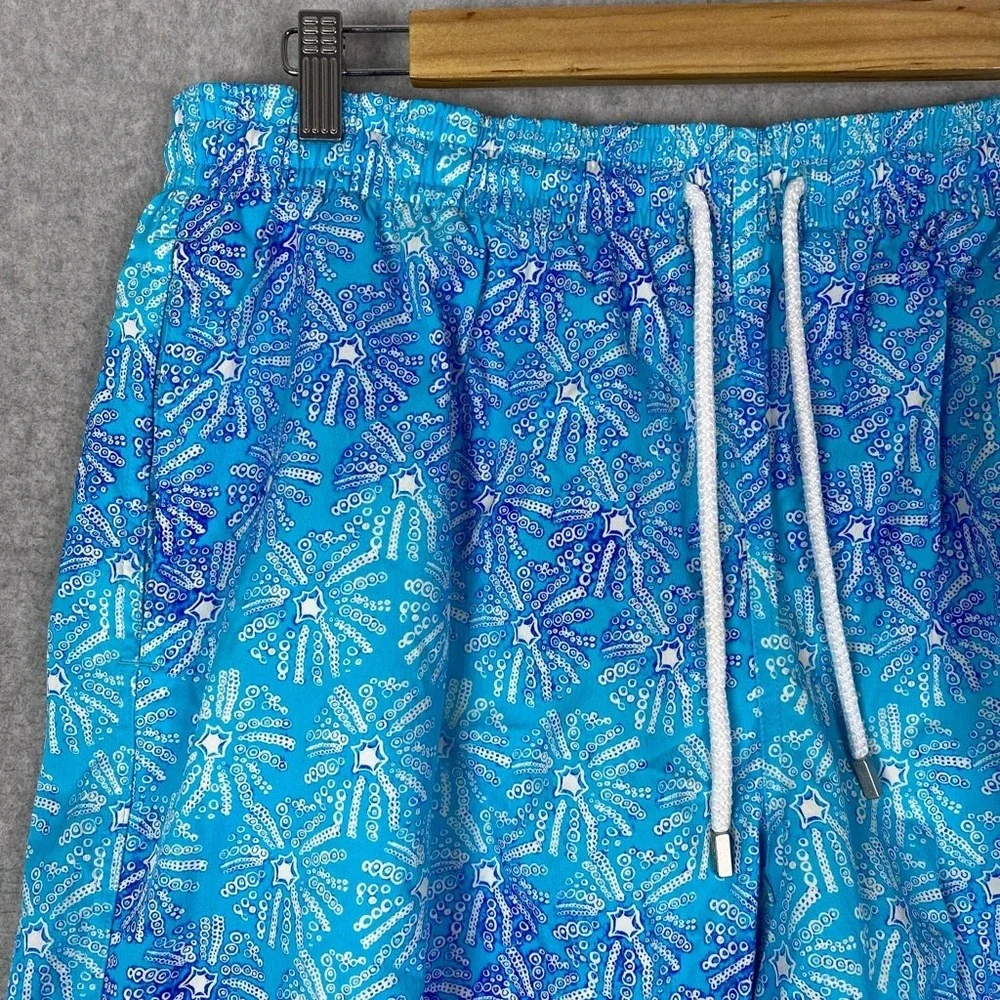 Vilebrequin shorts mens