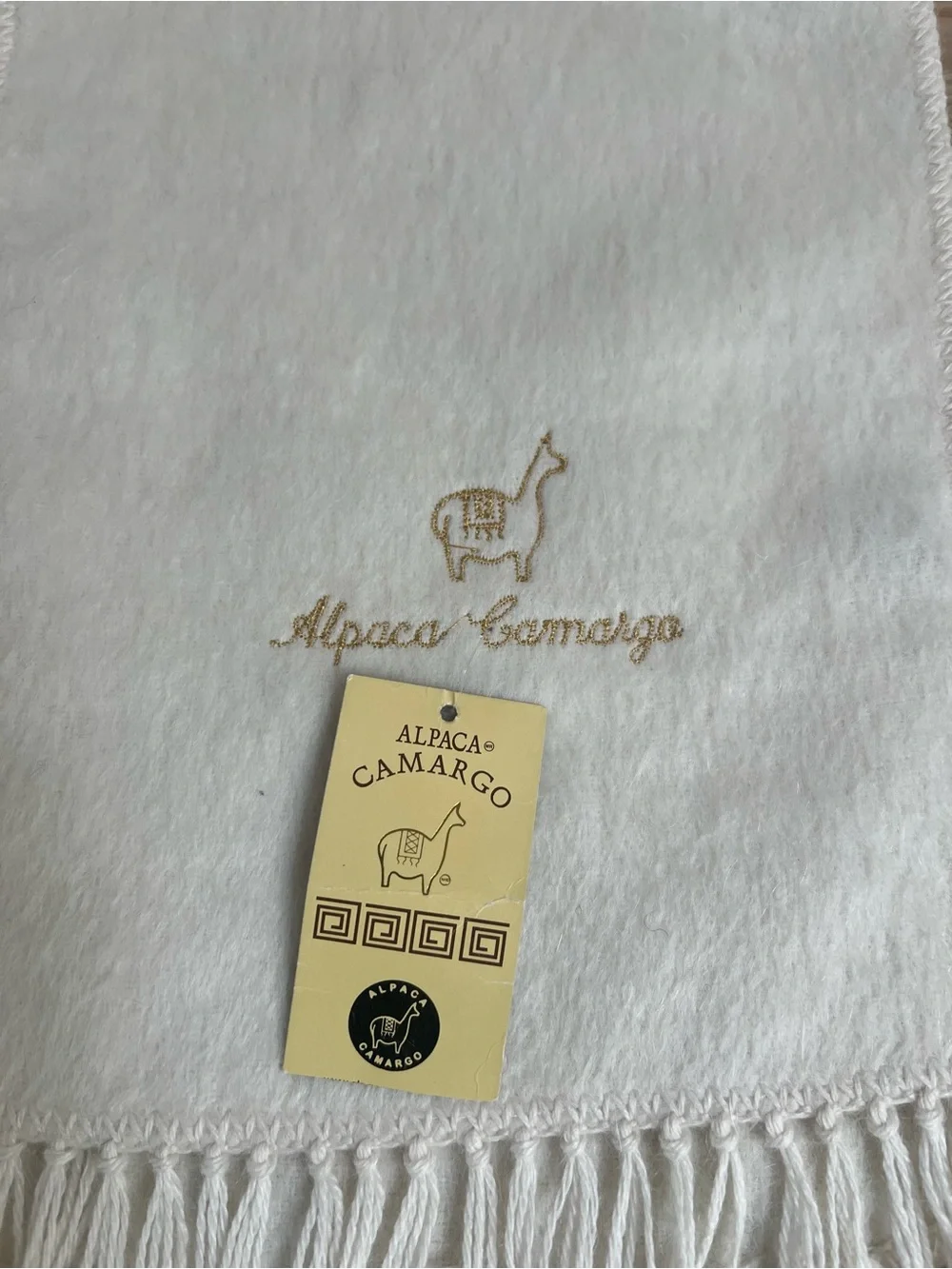 Alpaca Camargo alpaca winter excellent