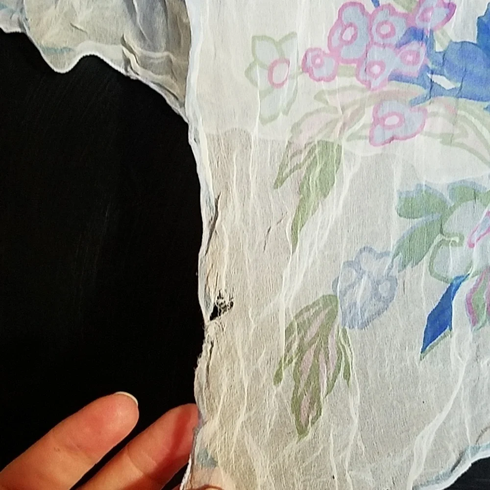 Felts Fun Finds vintage sheer