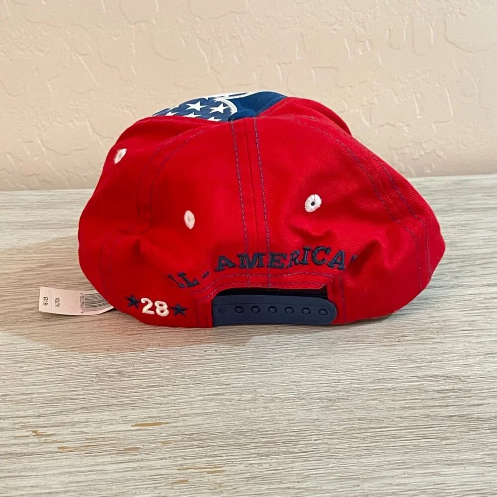Disney parks hat