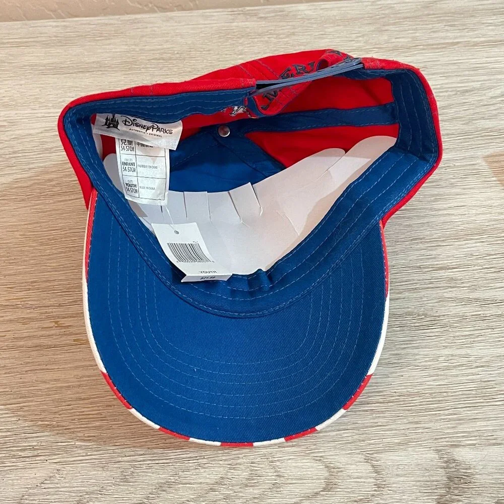 Disney parks hat
